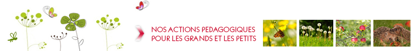 Nos actions pédagogiques pour les grands et les petits